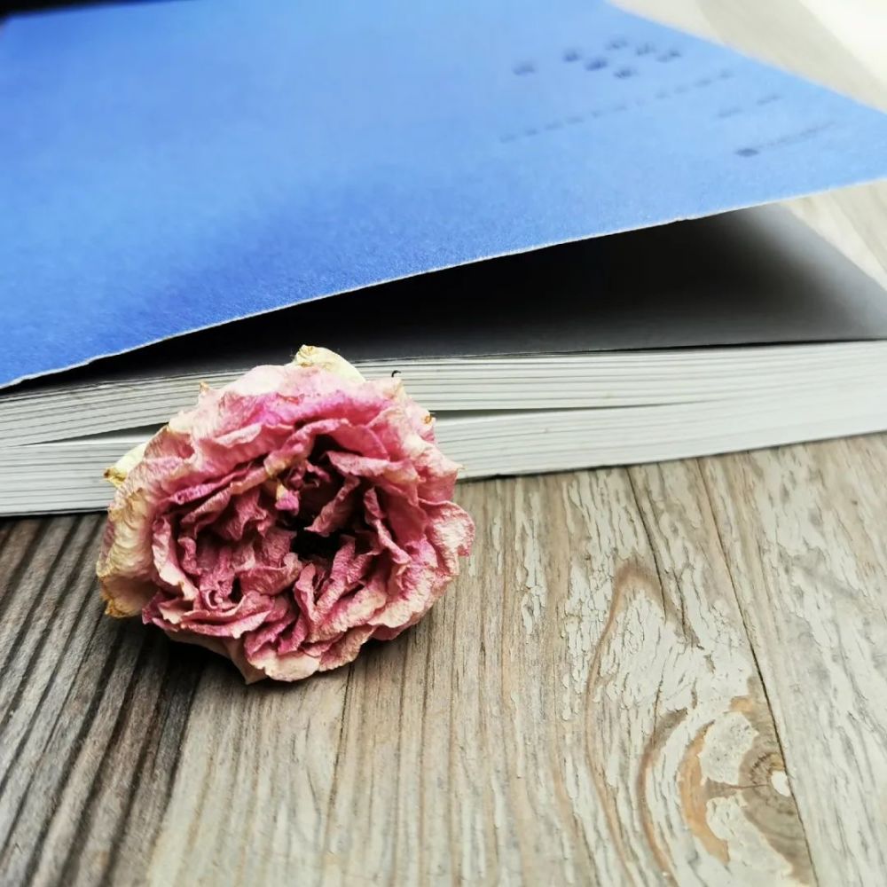 现代诗|雷格：现代诗的读法