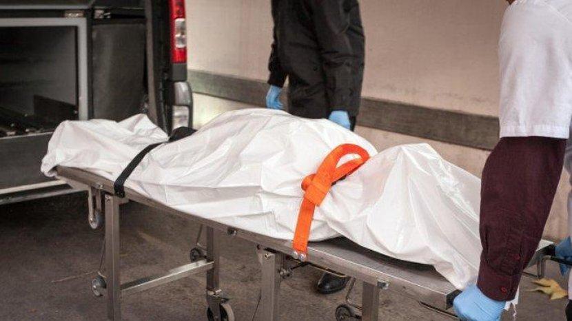 瓦丽莎|女子尸体藏在行李箱内，火化后警方却接到她电话“我还没死”