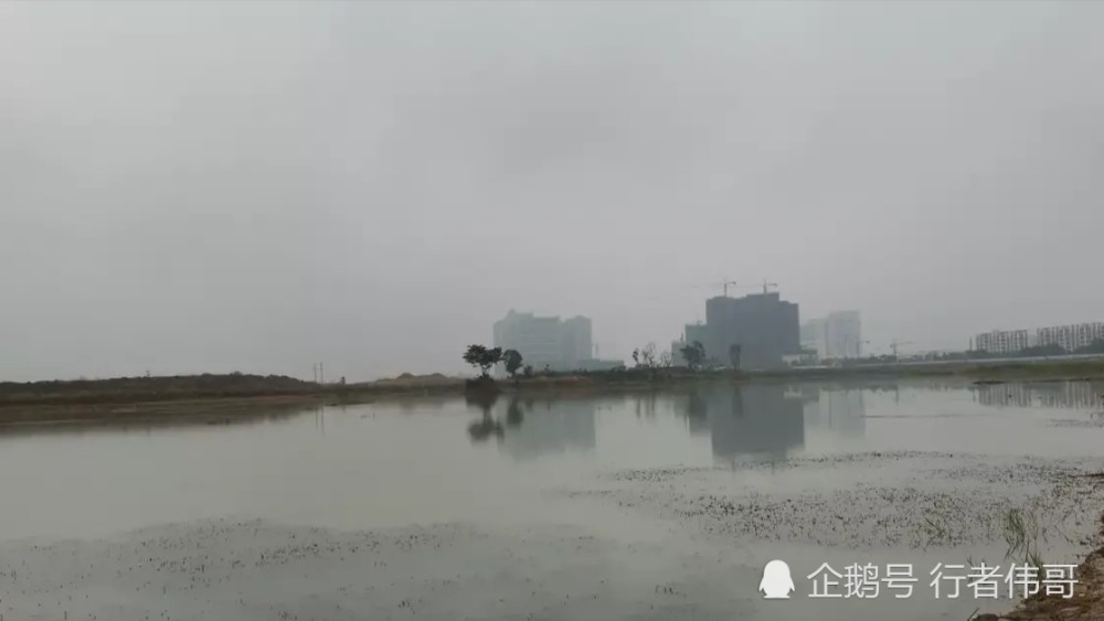 曲靖市麒麟区南片,最大的人工湖麒麟湖,大家去过吗?