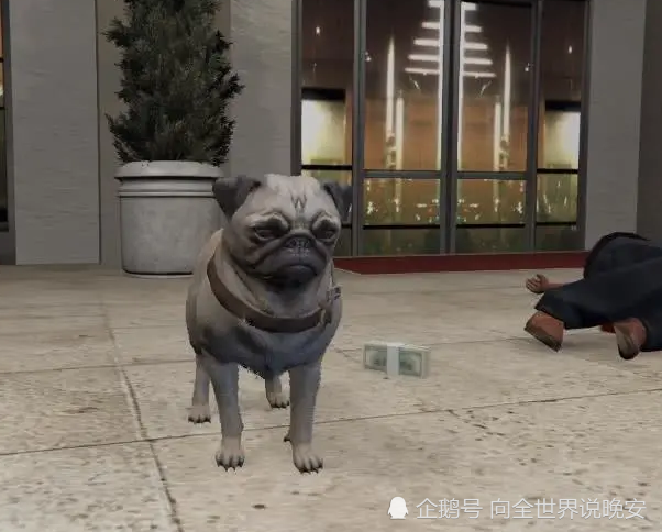 Gta5 线上模式吃这种植物 一口下去增加5千经验 吃完就变狗子 腾讯网