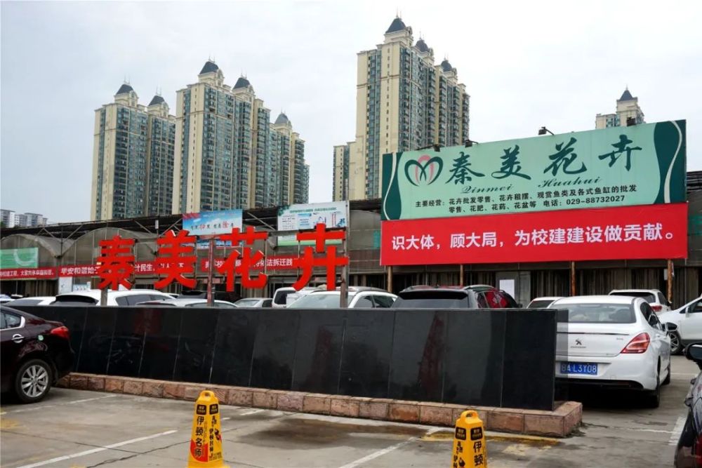 秦美,西安最老的花卉市场