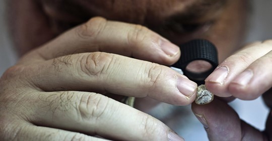 钻石|男子花不到20块租一片荒地 挖出价值47万10克拉钻石