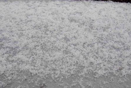不可思议 大夏天室外飘 雪 专家却说不是雪网友直呼涨知识了 深圳热线