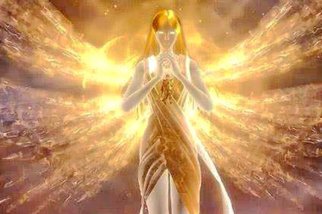 斗罗大陆第一个能被称为神级的武魂千家的血脉六翼天使