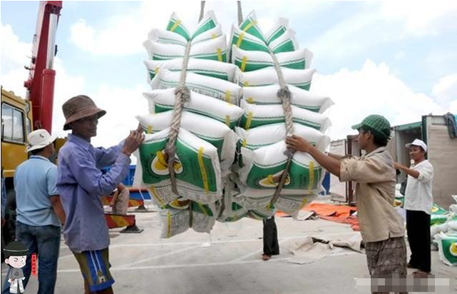 上半年泰国出口大米314万吨下半年或被越南反超跌到第5