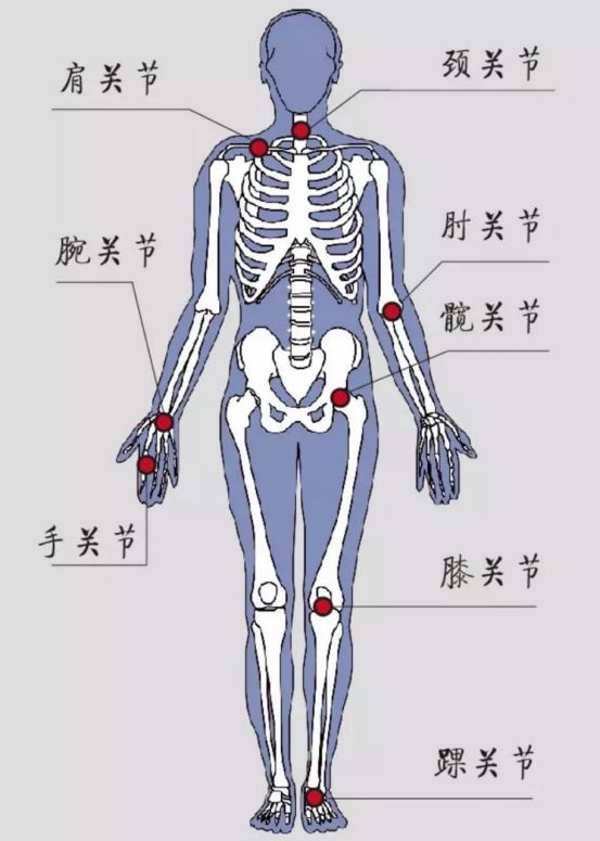 膝关节承受着我们身体的巨大重量,如果腿部肌肉无力,我们在跑步或行走