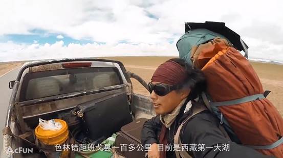 硬核up主亚历山大流浪狗行走在a站流浪在人间