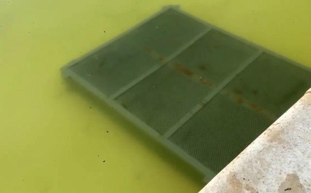 西班牙_社会|恐怖！西班牙男孩喷泉里游泳，瞬间被水压吸进喷泉管道，不治身亡