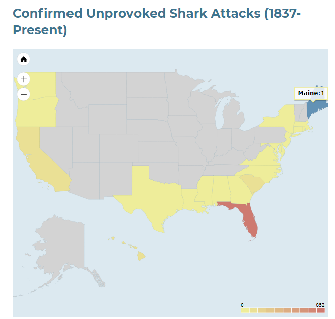 霍洛瓦|著名时尚品牌前女总裁，被大白鲨咬死