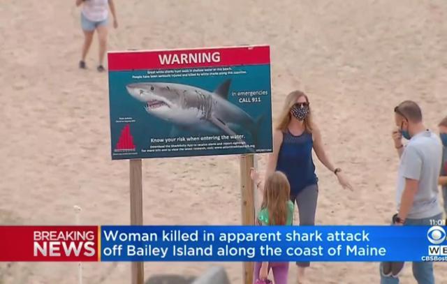 大白鲨活活咬死,水中正嬉笑瞬间被拖入海底|缅因州|纽约|鲨鱼|大白鲨