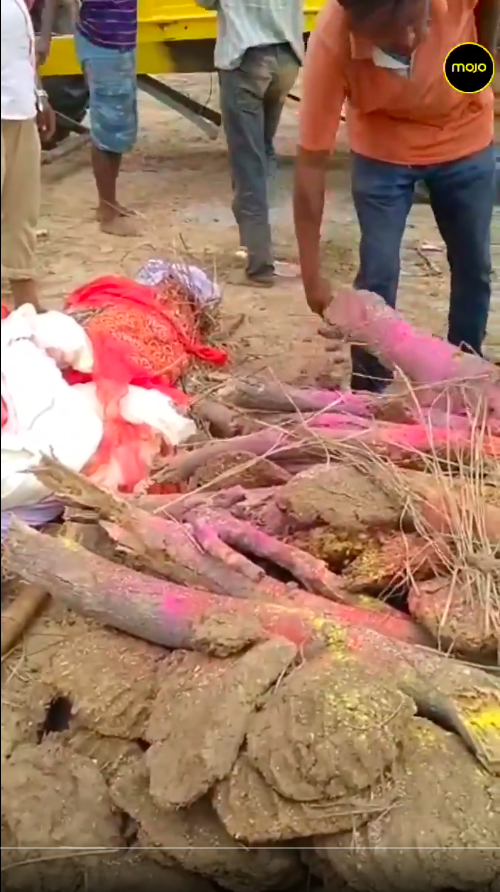 达利特|遗体火化被一群男子强行拖下柴堆：低种姓女人不配在公共土地火化