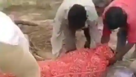 达利特|遗体火化被一群男子强行拖下柴堆：低种姓女人不配在公共土地火化