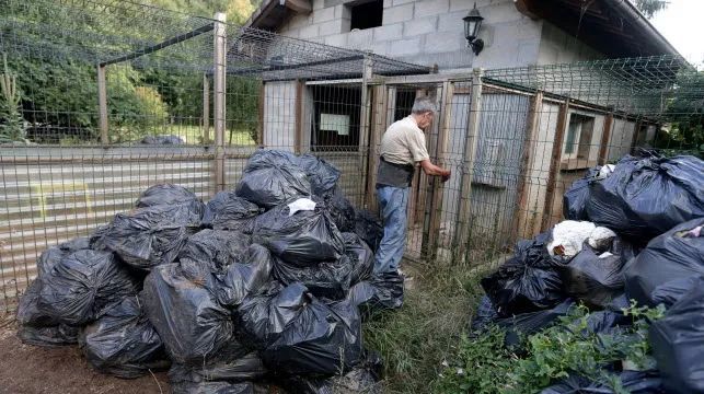 猫咪|【丑闻】贝桑松老人因“动物囤积症”，把10多具猫咪尸体冻在冰箱……