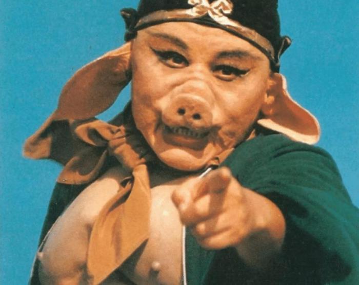 不同国家的猪八戒美国越南可以忍韩国这是偶像剧吗