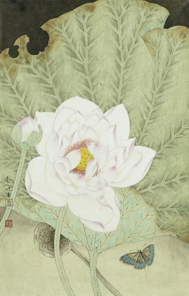 季旭东|南京市青美协协会理事、季旭东花鸟画作品欣赏