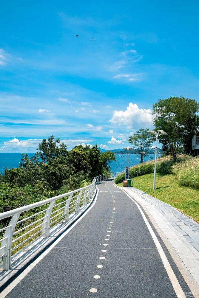 40张照片10条最美步道给你个爱上深圳的理由