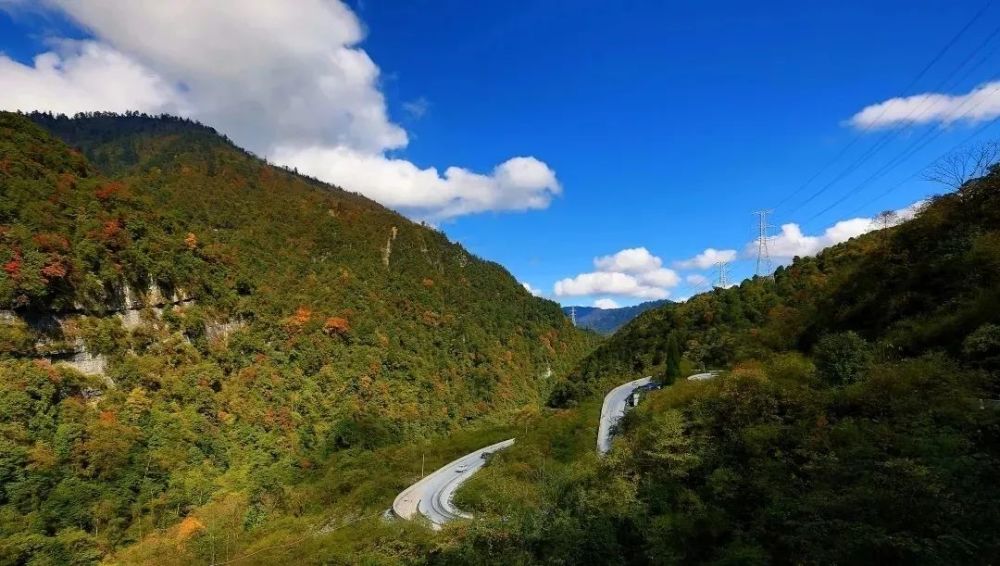 翻越二郎山的老川藏公路,攝於1980年光葉蕨生長在有著濃厚