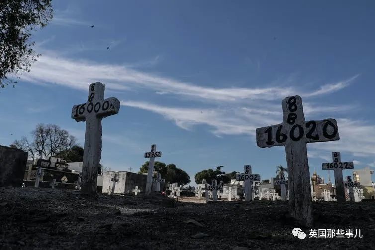 巴西_时政|巴西总统因防疫不力被告上国际法庭：“危害人类罪！”