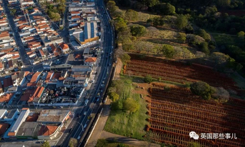 巴西_时政|巴西总统因防疫不力被告上国际法庭：“危害人类罪！”