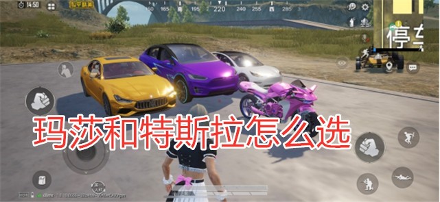 和平精英止痛药也会过期？玛莎拉蒂和特斯拉要怎么选？