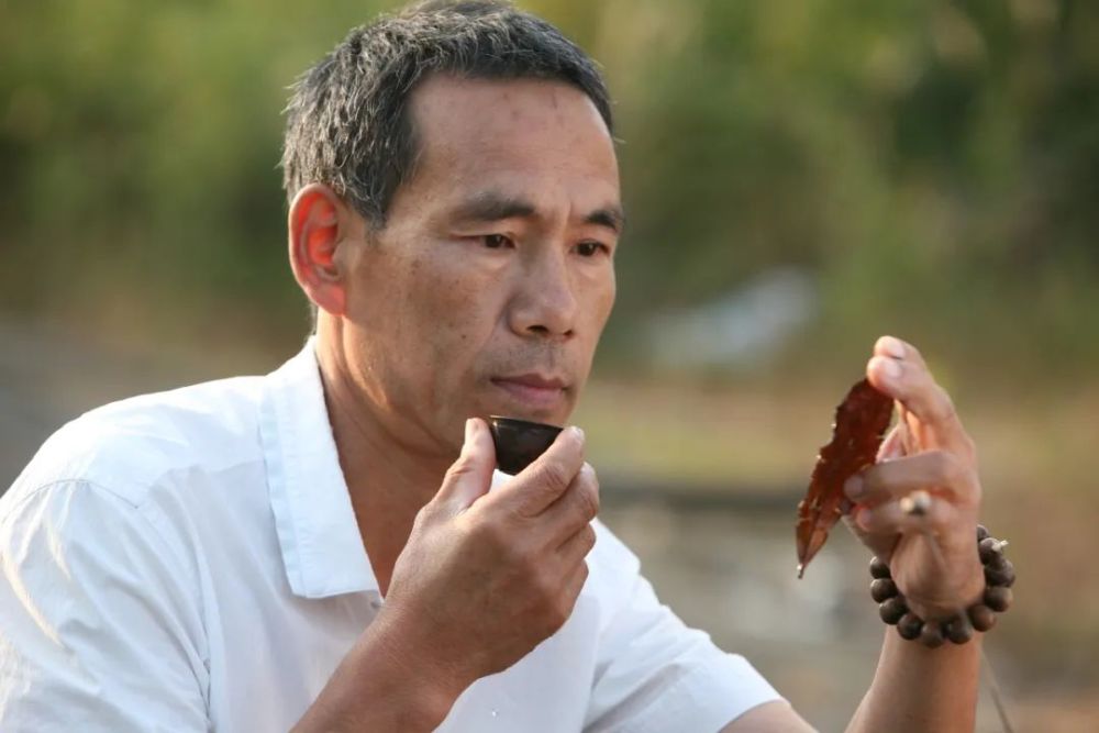 白茶隐士方守龙的完美白茶,颠覆你的味蕾!_腾讯新闻