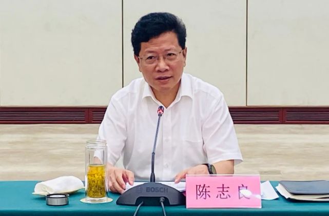 陈志良在上半年全区金融运行分析会上要求金融运行做到健康高效良性