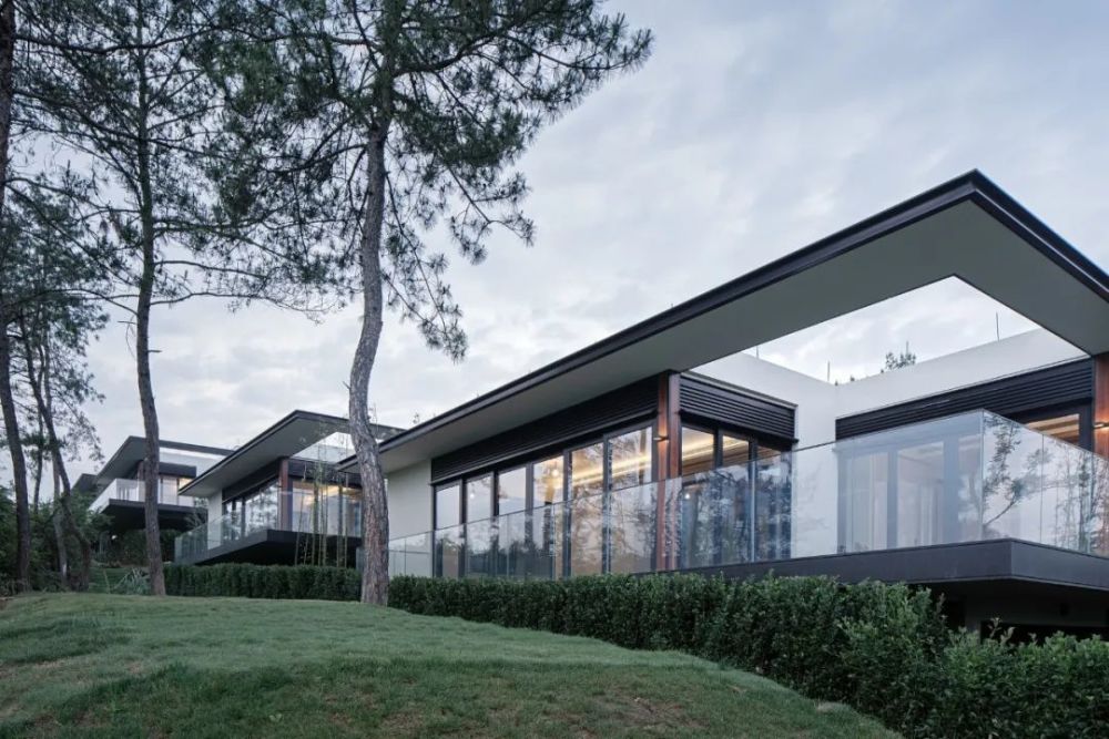 宋卫平的现代桃花源全新的玻璃盒子绿城第一个现代山地项目