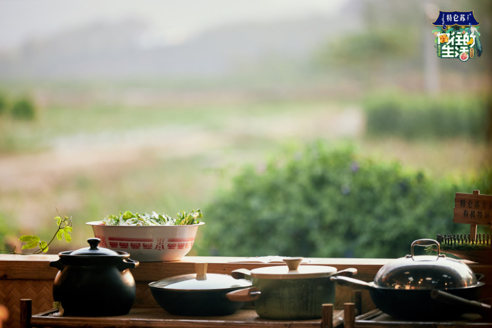 真人秀排行榜_舞台上划水,真人秀用替身,排名一落千丈,遭全网唾弃