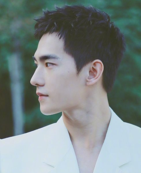 寸头真的很适合杨洋了,他就适合这种没有一点头发能遮挡的发型.