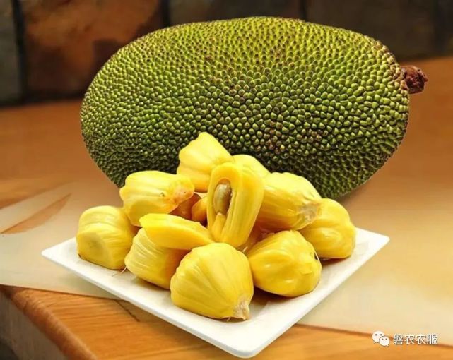 叶子|台湾|热带水果|菠萝|菠萝蜜