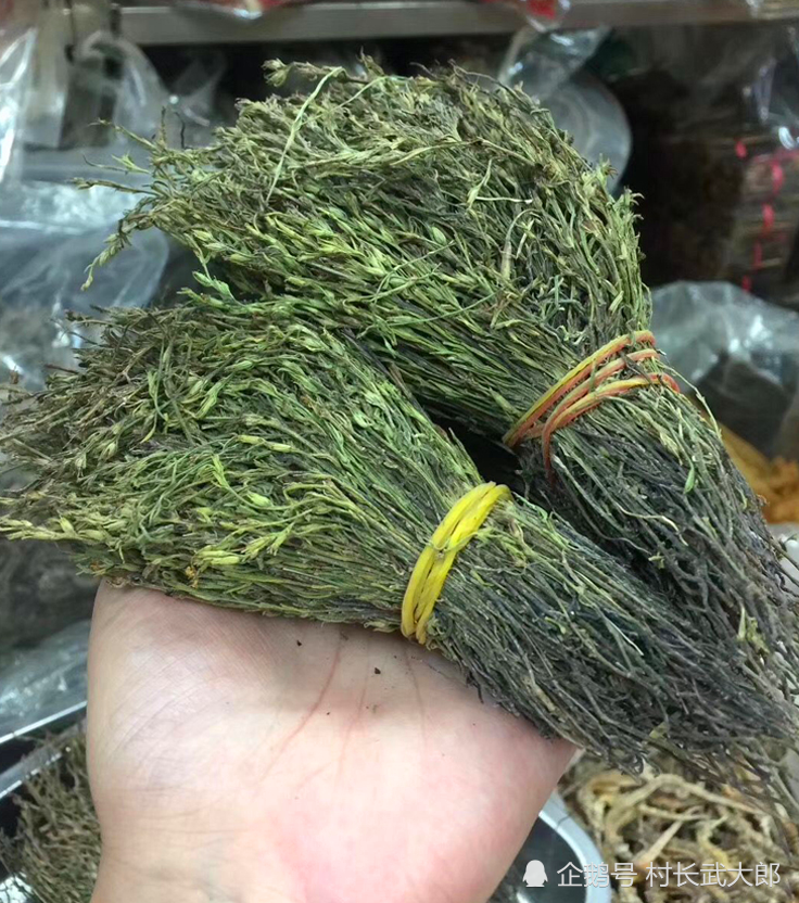 当年的新鲜草最贵,在广东香港等地,不少人都买独脚金炖肉汤给孩子喝