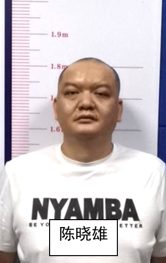 线索|扩散！一起检举揭发涉黑恶团伙违法犯罪线索