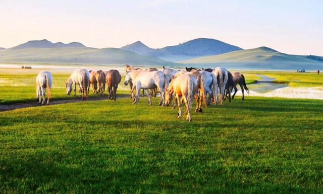 草原|距北京最近大草原，曾是清朝皇家木兰围场区，多部影视剧在此拍摄