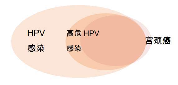 你知道hpv病毒是什麼原因引起的嗎