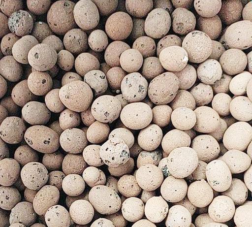 3种东西是垫盆底的好材料 种花前放一点 疏水透气 花卉不烂根 花卉 陶粒 花盆