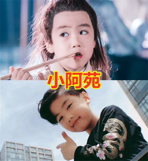 小阿苑这个角色,大家都知道他是"陈情令"中的角色,是蓝苑小时候的样子