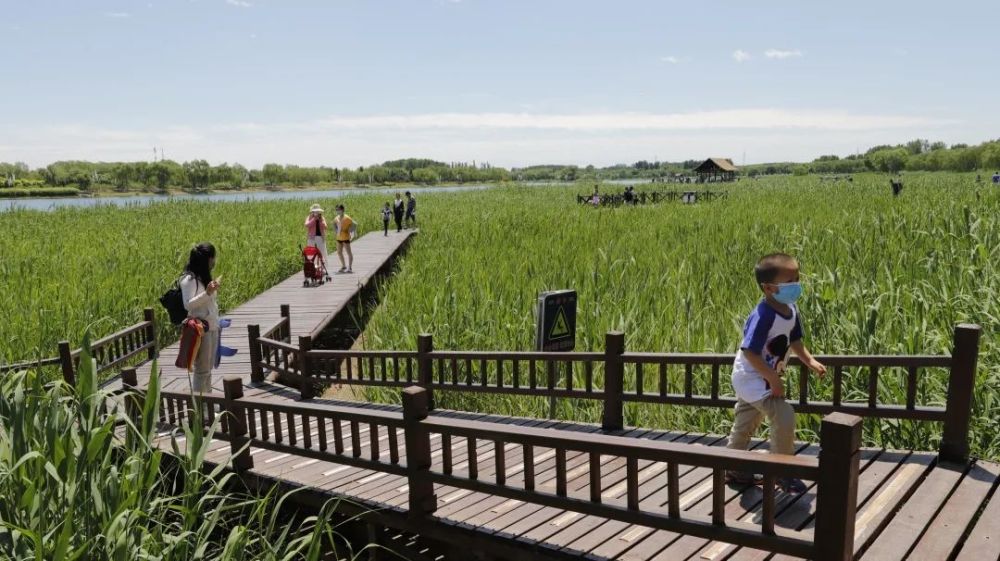 摄影作品|“我参与我遵守 文明行为我来拍” 摄影作品征集活动开启