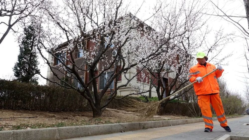 摄影作品|“我参与我遵守 文明行为我来拍” 摄影作品征集活动开启