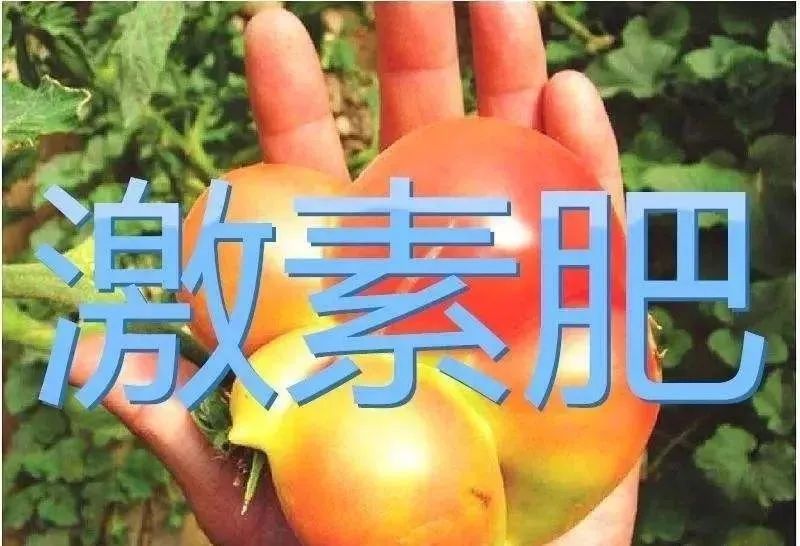 肥料|10月起，全国严查！再卖这些肥料就是违法！最高罚款5万元，判刑15年！