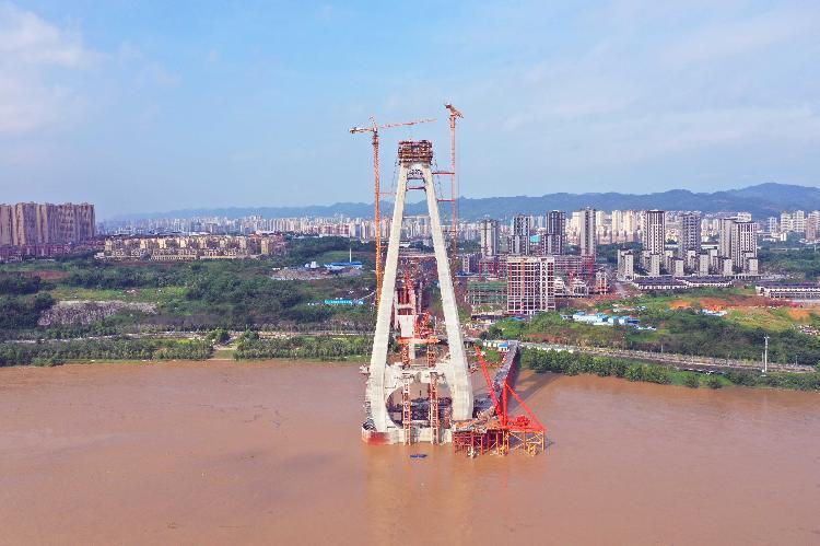 大桥项目起于大渡口区陈家阁立交,止于巴南区内环快速路太阳岗立交,全