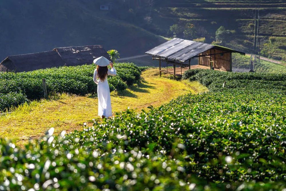 苏格拉底|知足即是大富贵，心安真乃小神仙