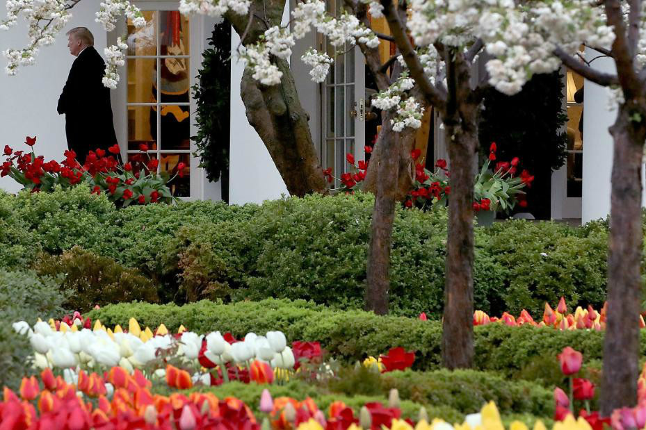 梅拉尼娅·特朗普|梅拉尼娅要修白宫玫瑰园，网友炸锅：“别浪费我们的钱”