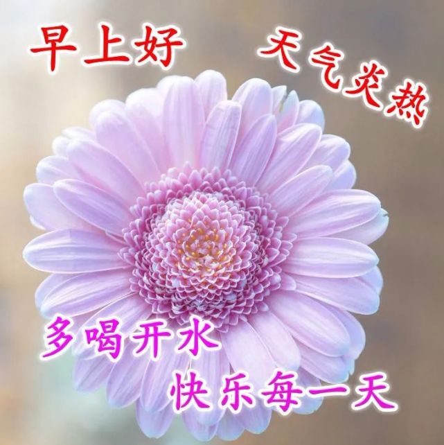7月31日最后一天清晨早安问候动态表情图片早上好祝福美图动态 婚姻