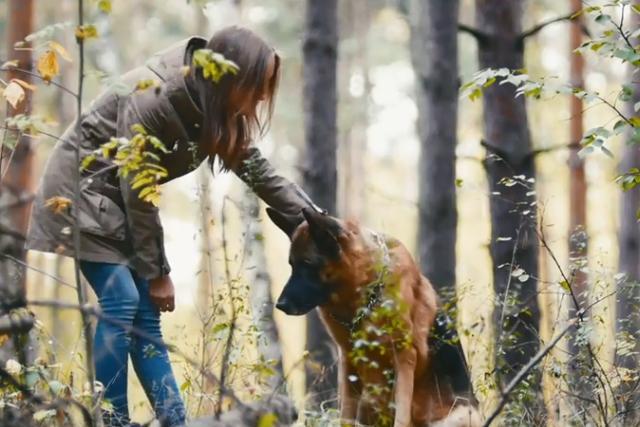 美国|第一只感染新冠美国狗死亡，7岁生日之前开始呼吸困难