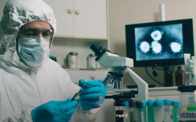 美国|第一只感染新冠美国狗死亡，7岁生日之前开始呼吸困难