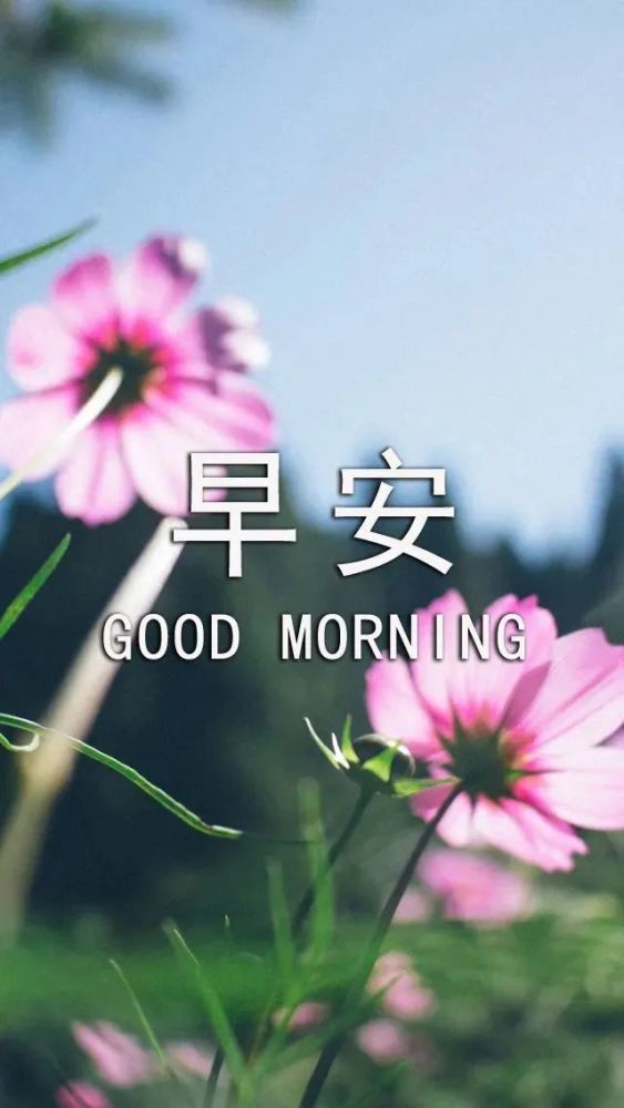 特漂亮的清晨早上好问候图片最新版早上好短信问候祝福语
