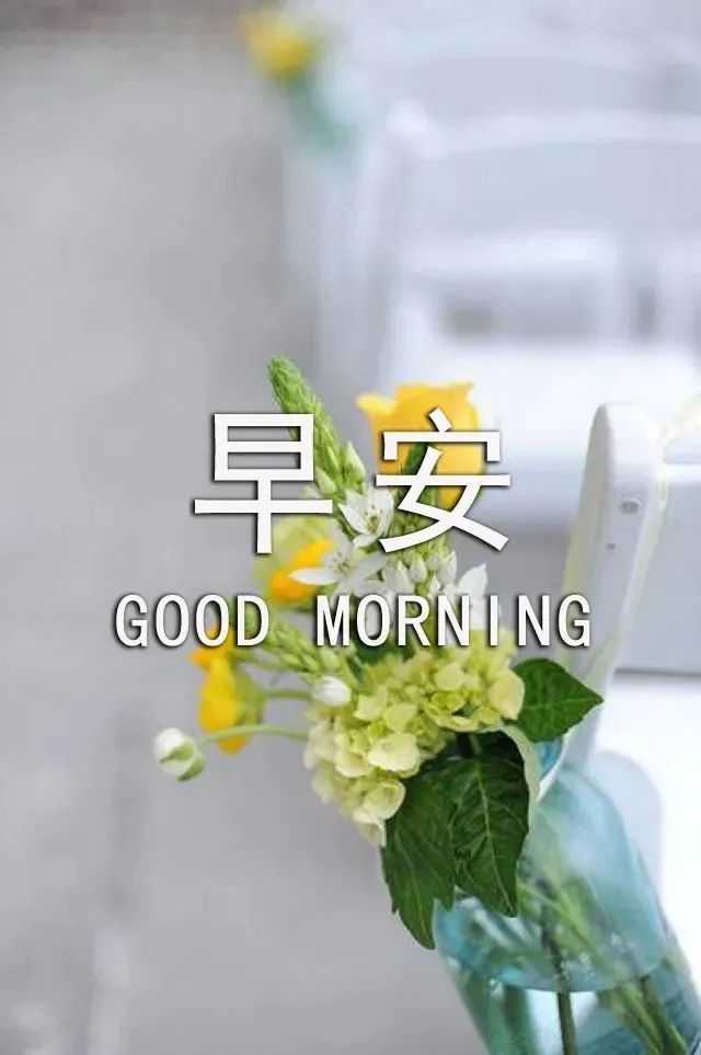 特漂亮的清晨早上好问候图片最新版早上好短信问候祝福语