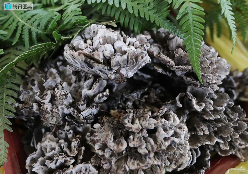 小心了吃错云南的这种东西可能性命不保