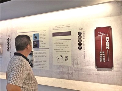 非遗文化|南京盐水鸭非遗制作技艺被他们用活了！