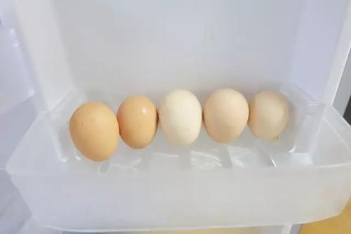 鸡蛋要不要放冰箱保存?今天我才明白,很多人都做错了,赶快学学
